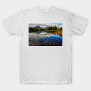 Herbert Lake T-Shirt